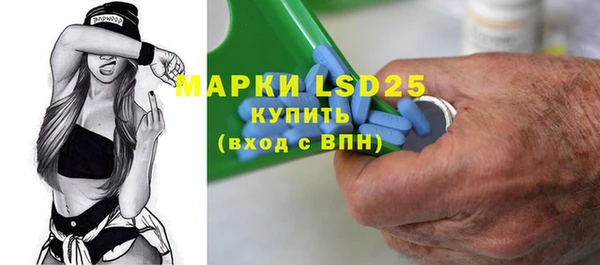 твердый Бородино