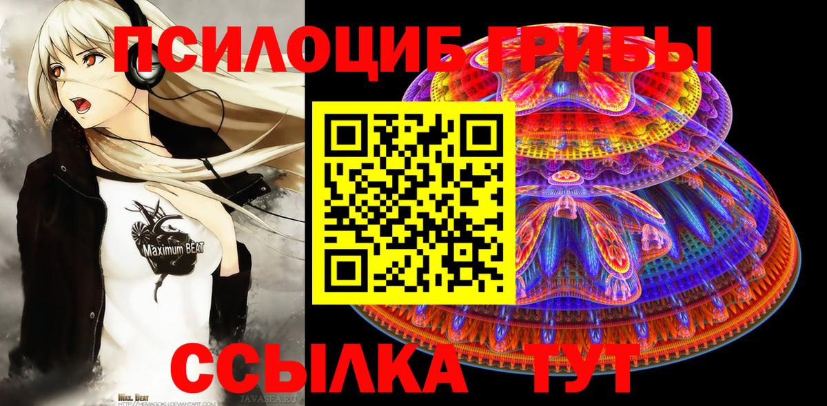 Псилоцибиновые грибы мицелий  цена наркотик  Салават 