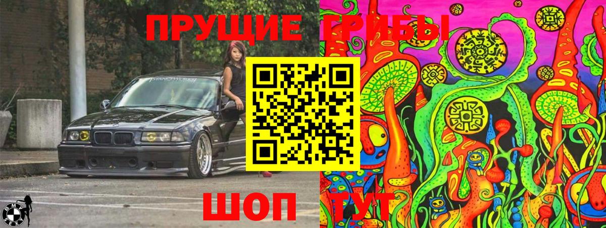 Салават  Псилоцибиновые грибы Cubensis  Вход с VPN  Псилоцибиновые грибы Magic Shrooms 