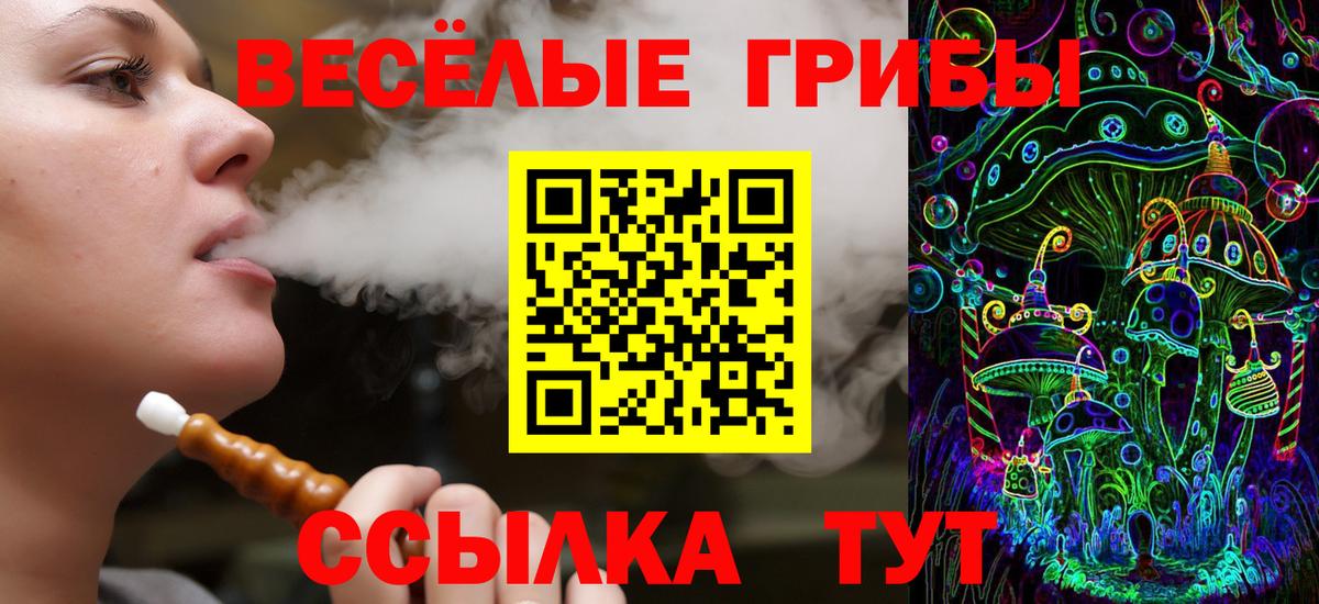 Псилоцибиновые грибы Cubensis Салават