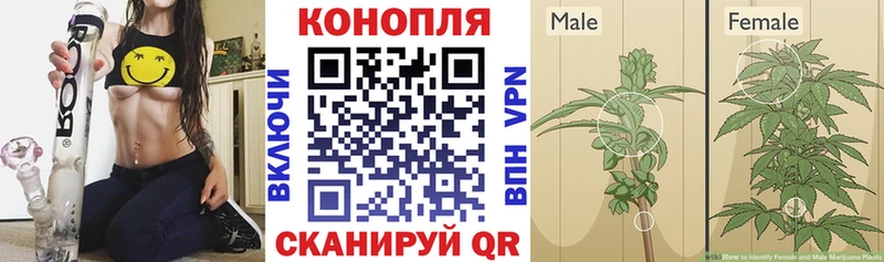 наркота  Салават  Бошки марихуана семена 